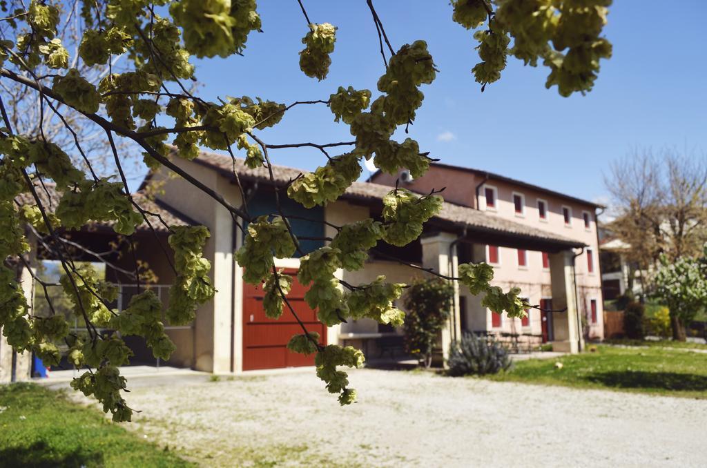 Agriturismo Ca Roer San Zenone Exterior photo